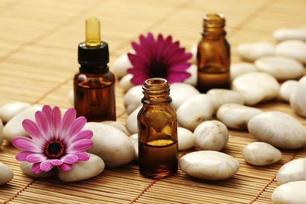Aroma Dryos Spa & Eco Hotel Мецово Екстериор снимка